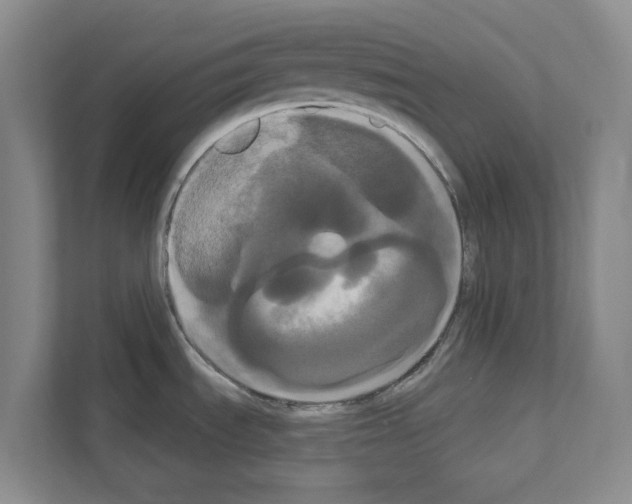X0000111021535200907310921