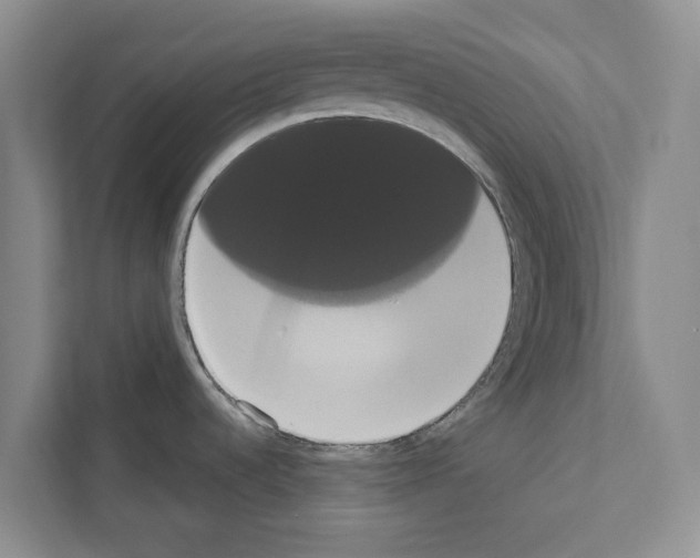 X0000111021536200907310921