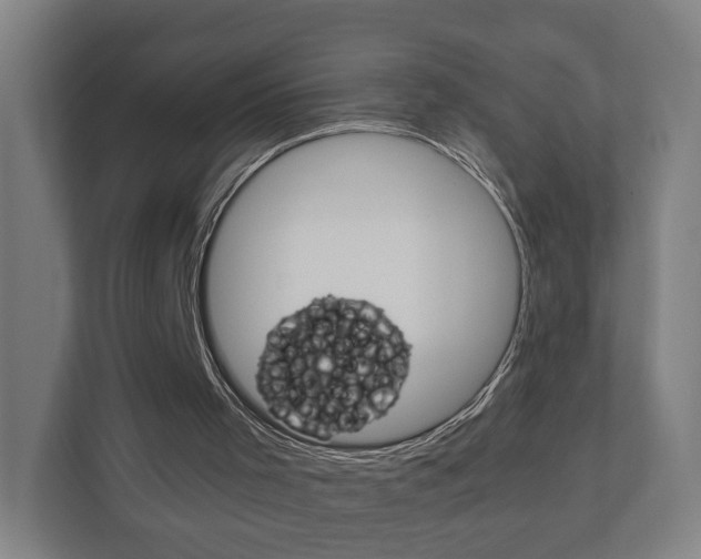 X0000111030001200906251127