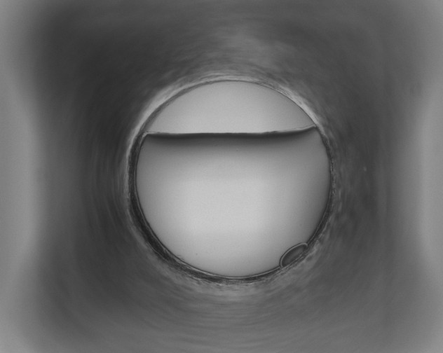 X0000111030008200906251127