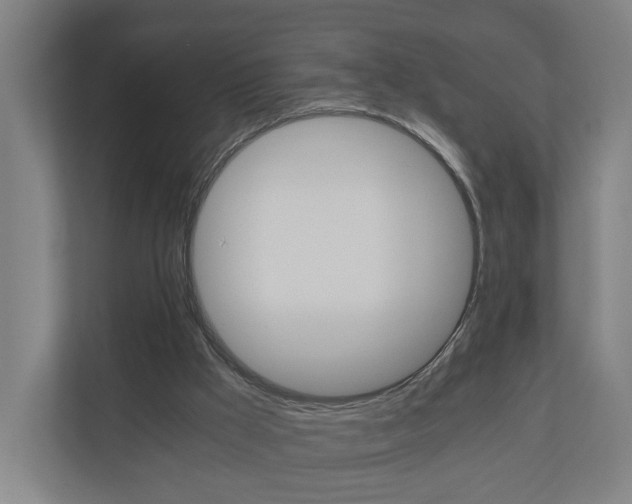 X0000111030009200906251127