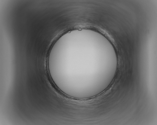 X0000111030010200906251127