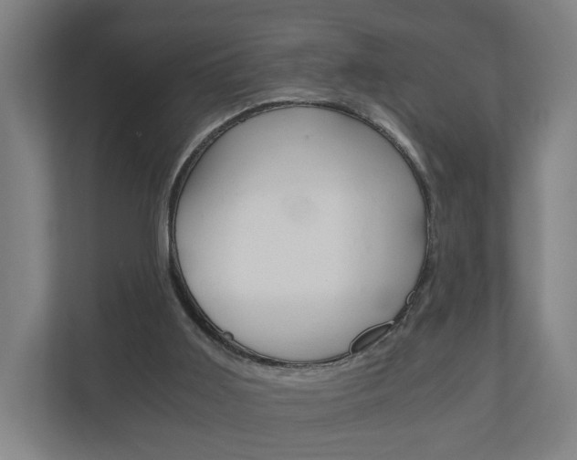 X0000111030011200906251127