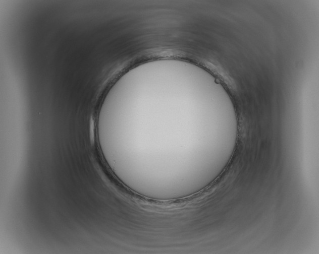 X0000111030014200906251127