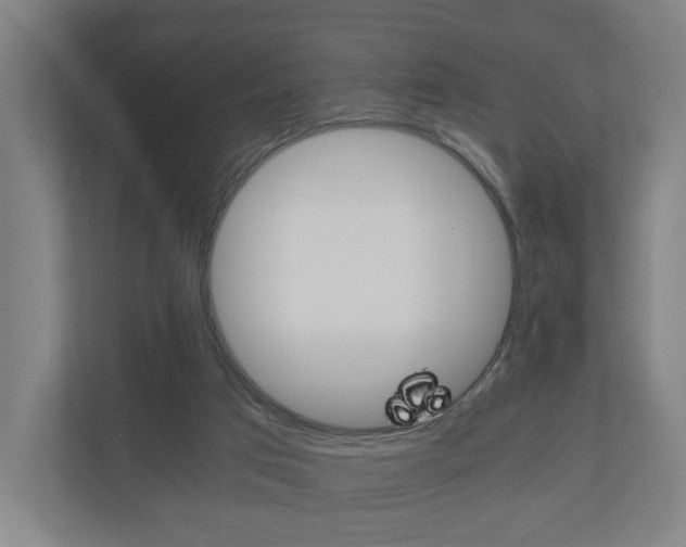 X0000111030017200906251127