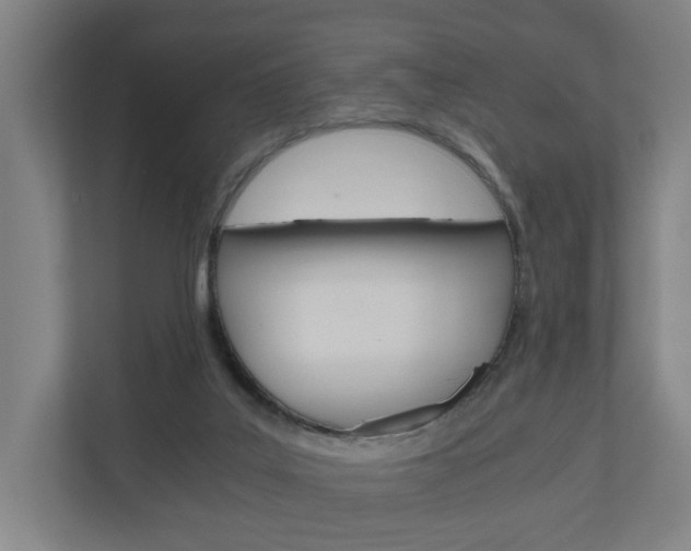 X0000111030019200906251127
