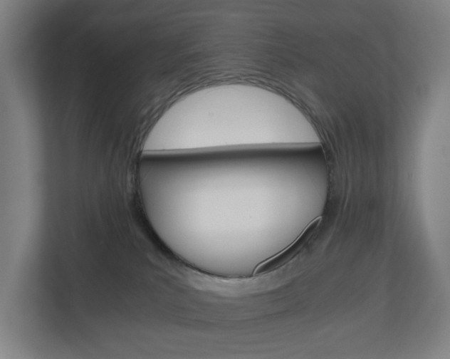 X0000111030039200906251126