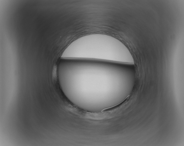 X0000111030041200906251126