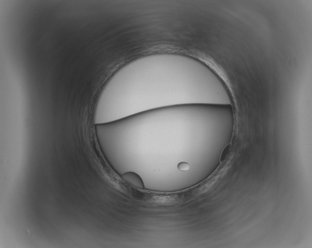 X0000111030057200906251126