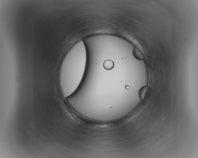 X0000111030061200906251126