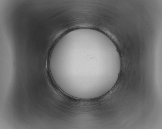 X0000111030062200906251126