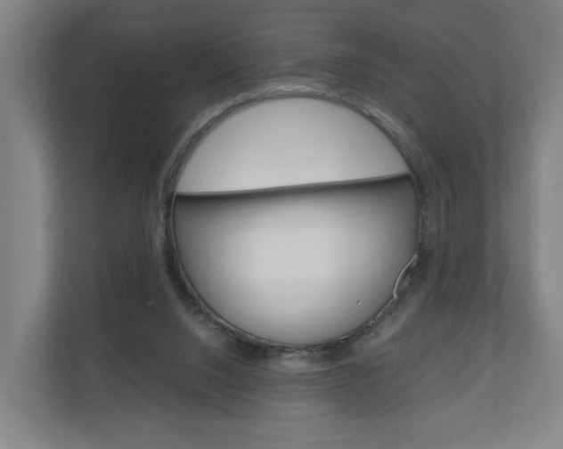 X0000111030064200906251126