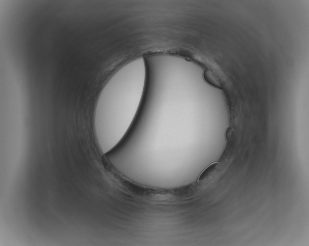 X0000111030066200906251126