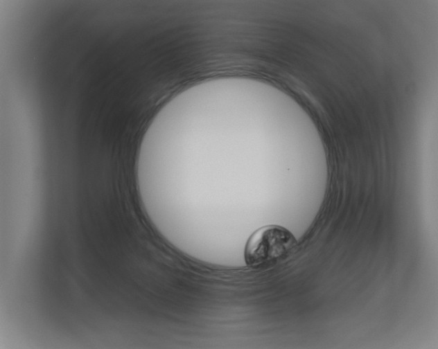 X0000111030076200906251126