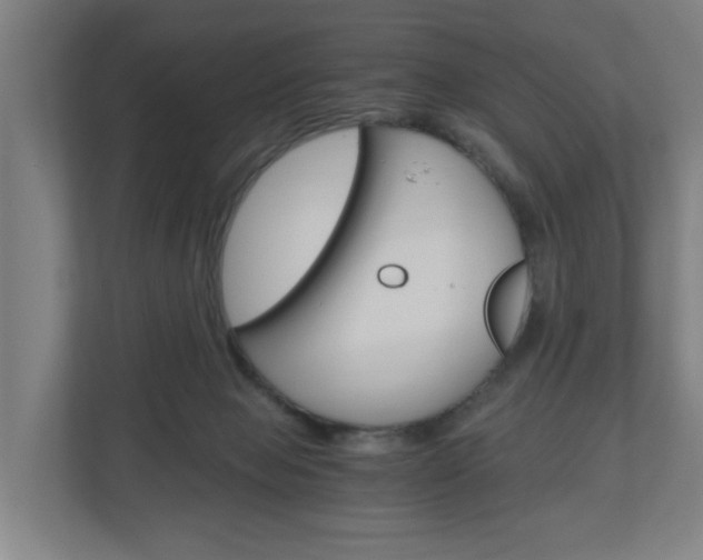 X0000111030077200906251126