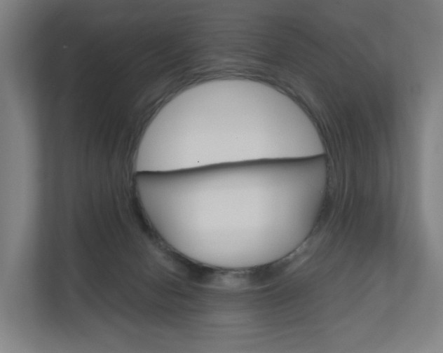X0000111030078200906251126