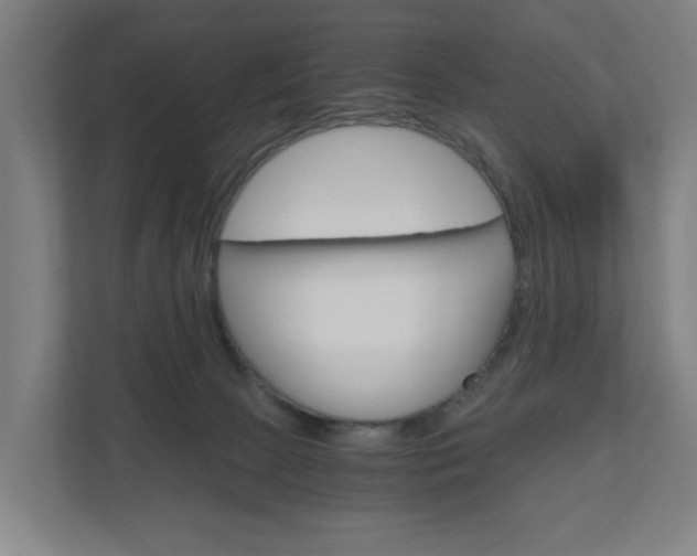 X0000111030081200906251126