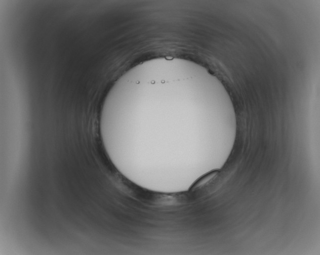 X0000111030083200906251126