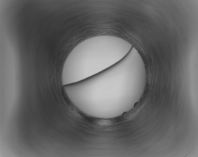 X0000111030085200906251126