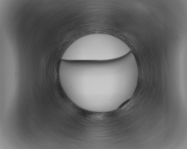 X0000111030086200906251126