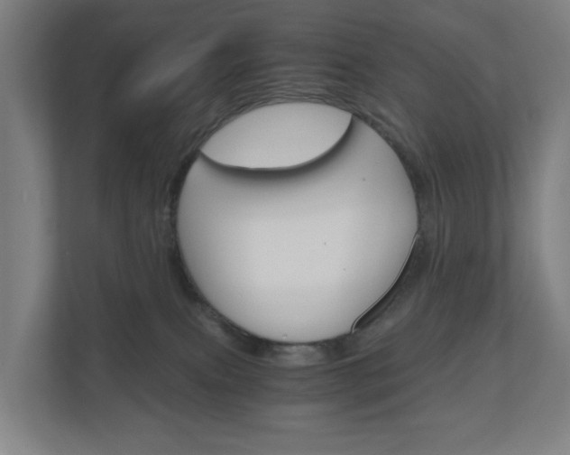 X0000111030087200906251126