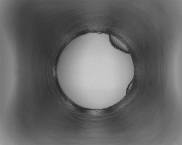 X0000111030089200906251126
