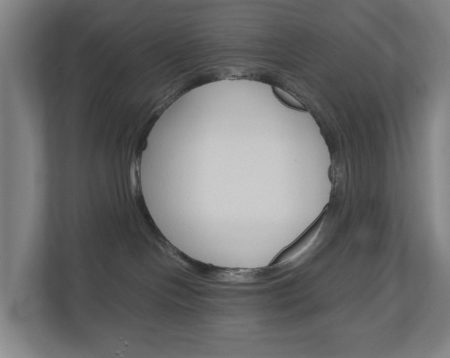 X0000111030094200906251126