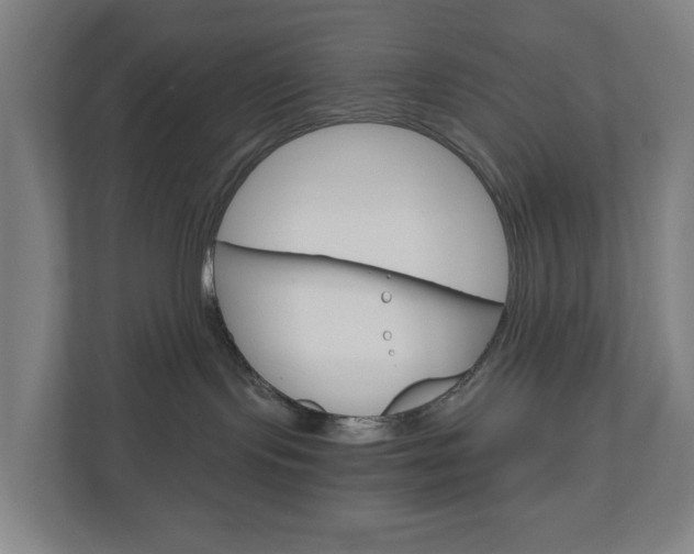 X0000111030095200906251126