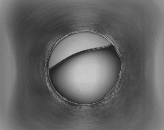 X0000111030097200906251126