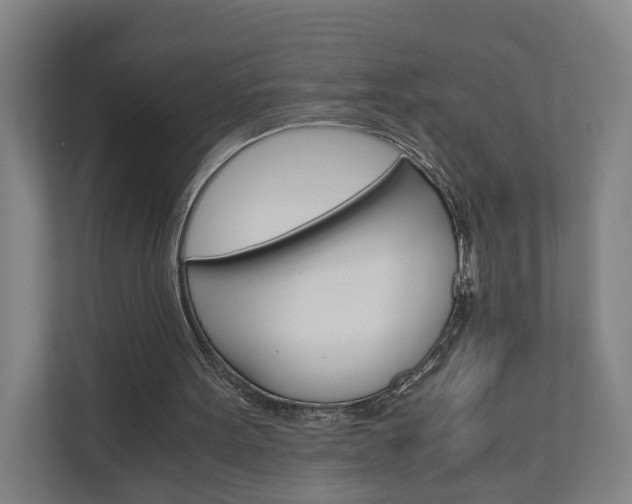 X0000111030099200906251126