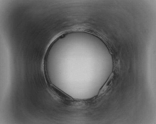 X0000111030100200906251126