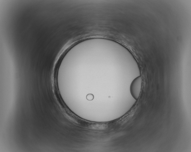 X0000111030102200906251126