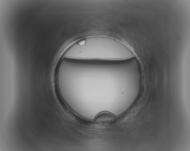 X0000111030103200906251126