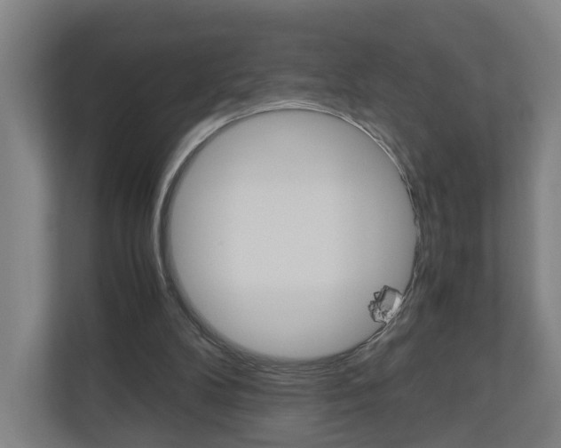 X0000111030104200906251126
