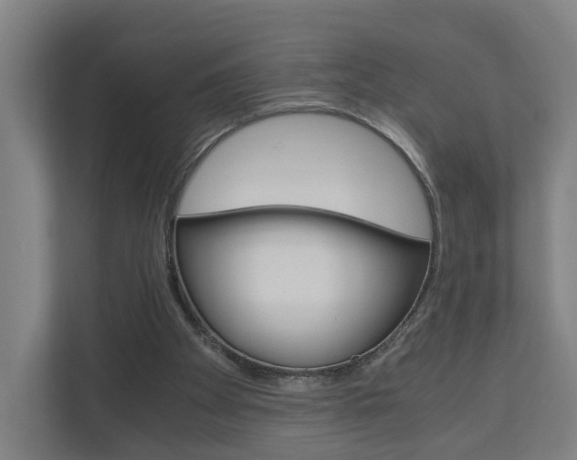 X0000111030105200906251126