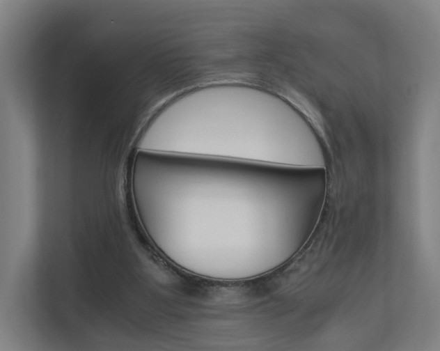 X0000111030107200906251126