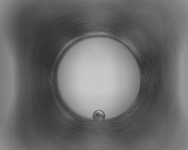 X0000111030112200906251125