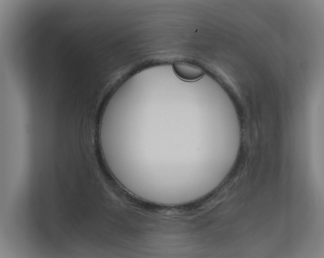 X0000111030115200906251125
