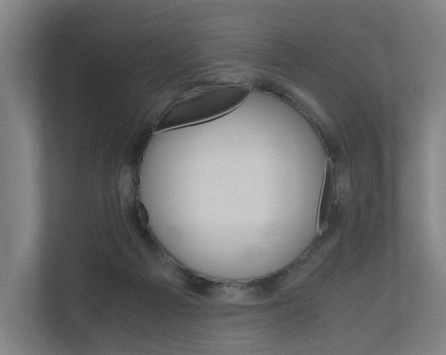X0000111030121200906251125