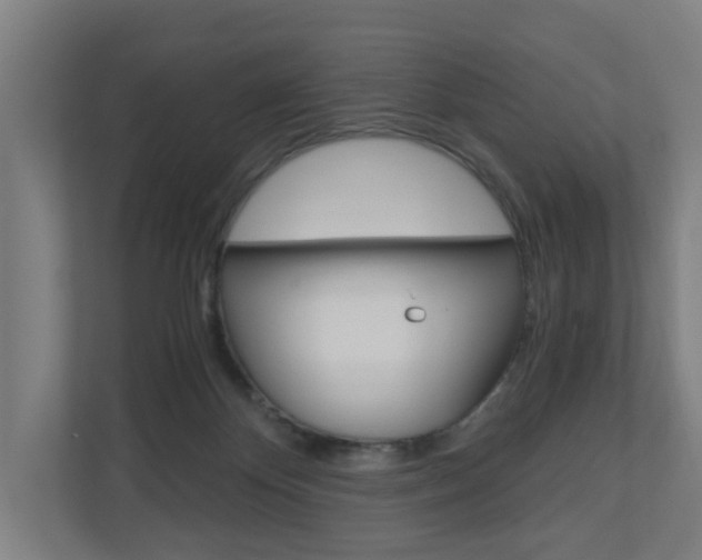 X0000111030124200906251125