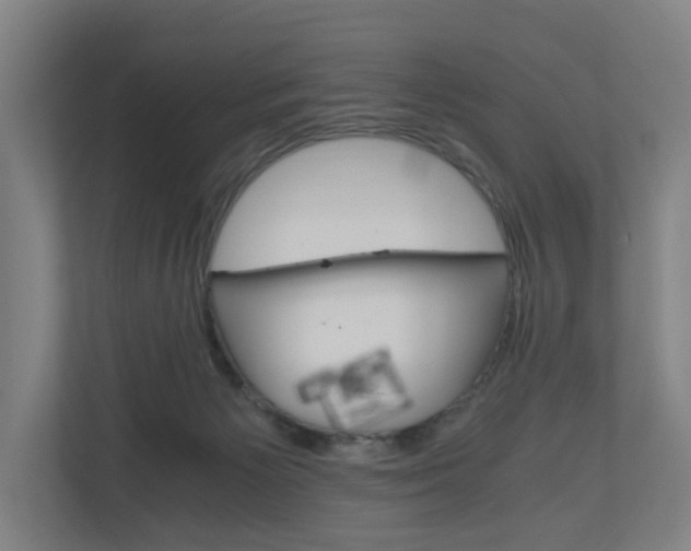 X0000111030125200906251125