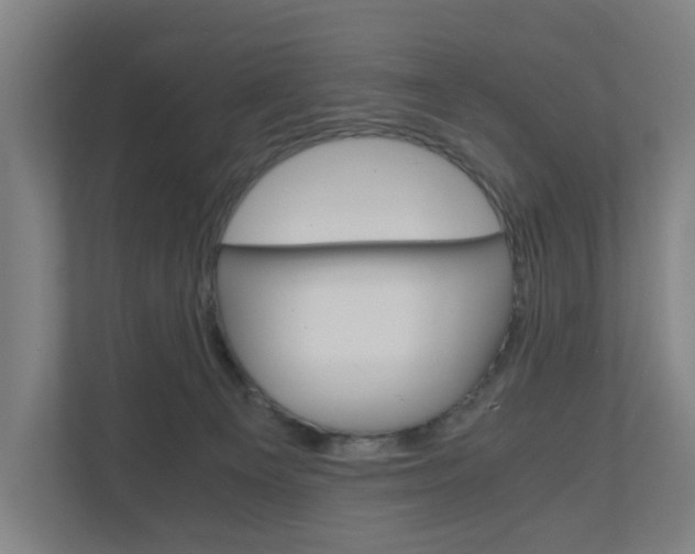 X0000111030129200906251125