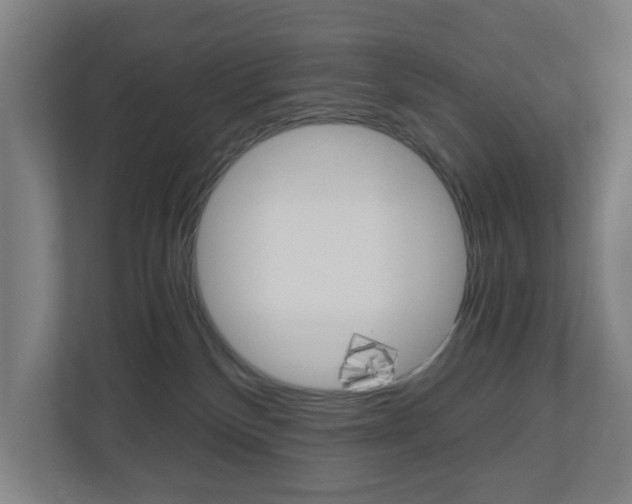 X0000111030136200906251125