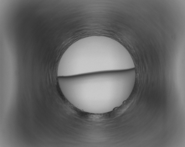 X0000111030139200906251125