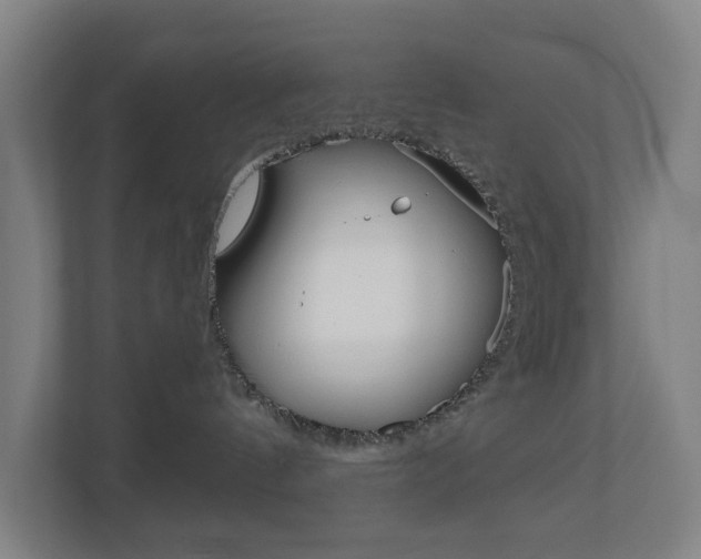 X0000111030144200906251125