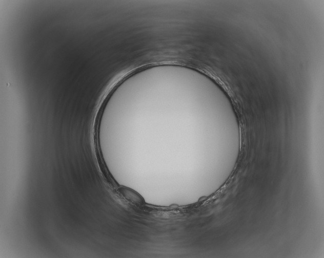 X0000111030147200906251124