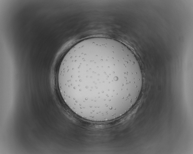 X0000111030149200906251124