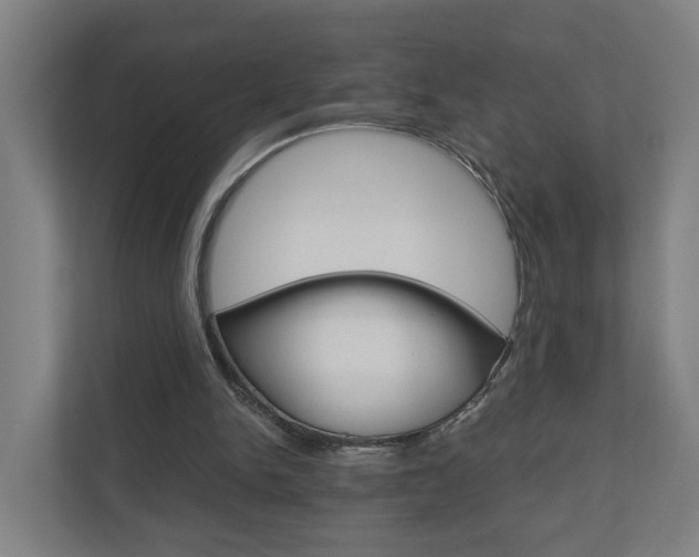 X0000111030150200906251124