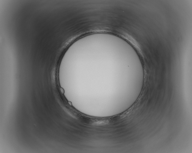 X0000111030155200906251125