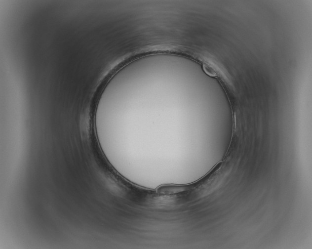 X0000111030156200906251125